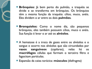  Brônquios: Já bem perto do pulmão, a traquéia se
divide e se transforma em brônquios. Os brônquios
têm a mesma função da traquéia: cílios, muco, anéis.
Eles dividem o ar entre os dois pulmões.
 Bronquíolos: Como o nome diz, são pequenos
brônquios, eles também possuem cílios, muco e anéis.
Sua função é levar o ar até os alvéolos.
 A hematose é a troca de gases entre os alvéolos e o
sangue e ocorre nos alvéolos que são circundados por
vasos sanguíneos (capilares), nelas há os
macrófagos células que formam o terceiro filtro e
fagocitam partículas.
 Expansão da caixa torácica: músculos (diafragma)
 