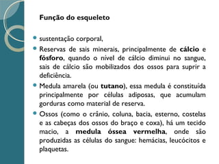 Função do esqueleto
 sustentação corporal,
 Reservas de sais minerais, principalmente de cálcio e
fósforo, quando o nível de cálcio diminui no sangue,
sais de cálcio são mobilizados dos ossos para suprir a
deficiência.
 Medula amarela (ou tutano), essa medula é constituída
principalmente por células adiposas, que acumulam
gorduras como material de reserva.
 Ossos (como o crânio, coluna, bacia, esterno, costelas
e as cabeças dos ossos do braço e coxa), há um tecido
macio, a medula óssea vermelha, onde são
produzidas as células do sangue: hemácias, leucócitos e
plaquetas.
 