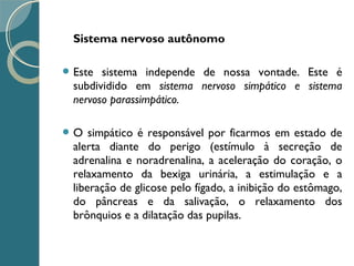 Sistema nervoso autônomo
 Este sistema independe de nossa vontade. Este é
subdividido em sistema nervoso simpático e sistema
nervoso parassimpático.
 O simpático é responsável por ficarmos em estado de
alerta diante do perigo (estímulo à secreção de
adrenalina e noradrenalina, a aceleração do coração, o
relaxamento da bexiga urinária, a estimulação e a
liberação de glicose pelo fígado, a inibição do estômago,
do pâncreas e da salivação, o relaxamento dos
brônquios e a dilatação das pupilas.
 