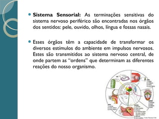  Sistema Sensorial: As terminações sensitivas do
sistema nervoso periférico são encontradas nos órgãos
dos sentidos: pele, ouvido, olhos, língua e fossas nasais.
 Esses órgãos têm a capacidade de transformar os
diversos estímulos do ambiente em impulsos nervosos.
Estes são transmitidos ao sistema nervoso central, de
onde partem as “ordens” que determinam as diferentes
reações do nosso organismo.
 