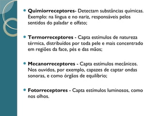  Quimiorreceptores- Detectam substâncias químicas.
Exemplo: na língua e no nariz, responsáveis pelos
sentidos do paladar e olfato;
 Termorreceptores - Capta estímulos de natureza
térmica, distribuídos por toda pele e mais concentrado
em regiões da face, pés e das mãos;
 Mecanorreceptores - Capta estímulos mecânicos.
Nos ouvidos, por exemplo, capazes de captar ondas
sonoras, e como órgãos de equilíbrio;
 Fotorreceptores - Capta estímulos luminosos, como
nos olhos.
 