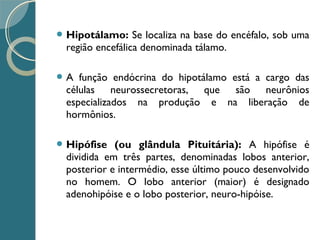  Hipotálamo: Se localiza na base do encéfalo, sob uma
região encefálica denominada tálamo.
 A função endócrina do hipotálamo está a cargo das
células neurossecretoras, que são neurônios
especializados na produção e na liberação de
hormônios.
 Hipófise (ou glândula Pituitária): A hipófise é
dividida em três partes, denominadas lobos anterior,
posterior e intermédio, esse último pouco desenvolvido
no homem. O lobo anterior (maior) é designado
adenohipóise e o lobo posterior, neuro-hipóise.
 