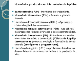Hormônios produzidos no lobo anterior da hipófise
 Samatotropina (GH) - Hormônio do crescimento.
 Hormônio tireotróico (TSH) - Estimula a glândula
tireóide.
 Hormônio adrenocorticotróico (ACTH) - Age sobre o
córtex das glândulas supra-renais.
 Hormônio folículo-estimulante (FSH) - Age sobre a
maturação dos folículos ovarianos e dos espermatozóides.
 Hormônio luteinizante (LH) - Estimulante das células
intersticiais do ovário e do testículo (Células de Leydig-
testosterona); provoca a ovulação e formação do corpo
amarelo (estrógenos e progesterona).
 Hormônio lactogênico (LTH) ou prolactina - Interfere no
desenvolvimento das mamas, na mulher e na produção de
leite.
 