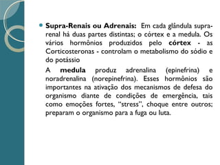  Supra-Renais ou Adrenais: Em cada glândula supra-
renal há duas partes distintas; o córtex e a medula. Os
vários hormônios produzidos pelo córtex - as
Corticosteronas - controlam o metabolismo do sódio e
do potássio
A medula produz adrenalina (epinefrina) e
noradrenalina (norepinefrina). Esses hormônios são
importantes na ativação dos mecanismos de defesa do
organismo diante de condições de emergência, tais
como emoções fortes, “stress”, choque entre outros;
preparam o organismo para a fuga ou luta.
 
