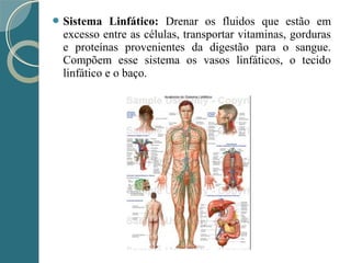  Sistema Linfático: Drenar os fluidos que estão em
excesso entre as células, transportar vitaminas, gorduras
e proteínas provenientes da digestão para o sangue.
Compõem esse sistema os vasos linfáticos, o tecido
linfático e o baço.
 