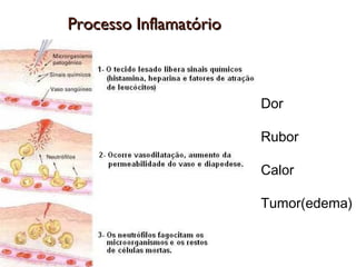 Dor
Rubor
Calor
Tumor(edema)
Processo InflamatórioProcesso Inflamatório
 