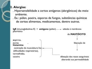 2. Alergias:
. Hipersensibilidade a certos antígenos (alergênicos) do meio
ambiente.
. Ex.: pólen, poeira, esporos de fungos, substâncias químicas
de certos alimentos, medicamentos, dentre outros.
IgE (imunoglobulinas E) + antígeno (pólen) adesão à membrana
plasmática
do MASTÓCITO
espirros,
coriza , liberação de
histamina
contração da musculatura lisa
(dificuldades respiratórias),
vermelhidão,
coceira dilatação dos vasos sanguíneos
alterando sua permeabilidade
 