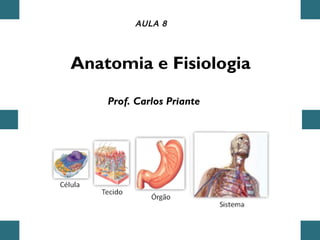 Anatomia e Fisiologia
AULA 8
Prof. Carlos Priante
 