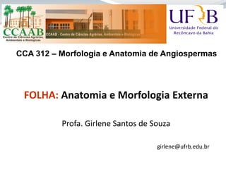 FOLHA: Anatomia e Morfologia Externa
Profa. Girlene Santos de Souza
girlene@ufrb.edu.br
CCA 312 – Morfologia e Anatomia de Angiospermas
 
