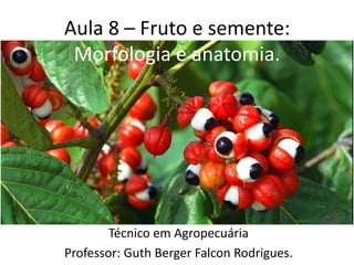 Aula 8 – Fruto e semente:
Morfologia e anatomia.
Técnico em Agropecuária
Professor: Guth Berger Falcon Rodrigues.
 