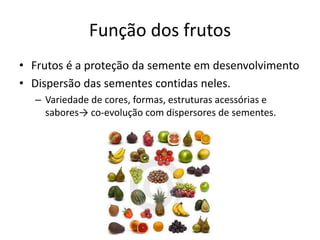 Função dos frutos
• Frutos é a proteção da semente em desenvolvimento
• Dispersão das sementes contidas neles.
– Variedade de cores, formas, estruturas acessórias e
sabores→ co-evolução com dispersores de sementes.
 