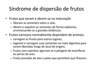 Síndrome de dispersão de frutos
• Frutos que secam e abrem-se na maturação
– liberam as sementes sobre o solo.
– Abrem e expelem as sementes de forma explosiva,
arremessando-as a grandes distâncias.
• Frutos carnosos normalmente dependem de animais,
– carregam os frutos para outros lugares,
– ingerem e carregam suas sementes no trato digestivo para
serem liberadas longe do local de origem,
– frutos com espinhos agarram-se à pelagem de mamíferos
ou penas de aves
– frutos providos de alas e pelos que permitem que flutuem.
 