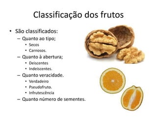 Classificação dos frutos
• São classificados:
– Quanto ao tipo;
• Secos
• Carnosos.
– Quanto à abertura;
• Deiscentes
• Indeiscentes.
– Quanto veracidade.
• Verdadeiro
• Pseudofruto.
• Infrutescência
– Quanto número de sementes.
 