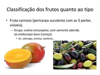Classificação dos frutos quanto ao tipo
• Fruto carnoso (pericarpo suculento com as 3 partes
visíveis).
– Drupa: ovário unicarpelar, com semente aderida
ao endocarpo duro (caroço).
• Ex.: pêssego, ameixa, azeitona...
 