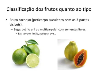 Classificação dos frutos quanto ao tipo
• Fruto carnoso (pericarpo suculento com as 3 partes
visíveis).
– Baga: ovário uni ou multicarpelar com sementes livres.
• Ex.: tomate, limão, abóbora, uva...
 