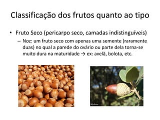 Classificação dos frutos quanto ao tipo
• Fruto Seco (pericarpo seco, camadas indistinguíveis)
– Noz: um fruto seco com apenas uma semente (raramente
duas) no qual a parede do ovário ou parte dela torna-se
muito dura na maturidade → ex: avelã, bolota, etc.
 