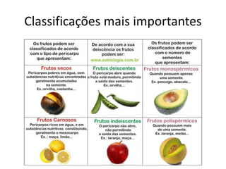 Classificações mais importantes
 