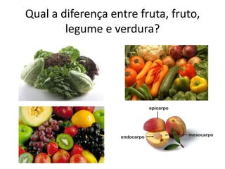 Qual a diferença entre fruta, fruto,
legume e verdura?
 