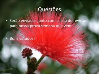 Questões
• Serão enviadas junto com a lista de revisão
para nossa prova semana que vem.
• Bons estudos!
 