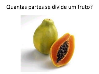 Quantas partes se divide um fruto?
 