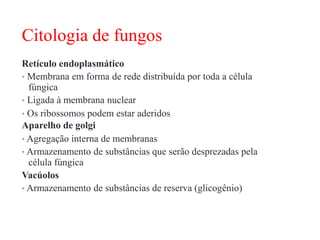 Citologia de fungos
Retículo endoplasmático
• Membrana em forma de rede distribuída por toda a célula
fúngica
• Ligada à membrana nuclear
• Os ribossomos podem estar aderidos
Aparelho de golgi
• Agregação interna de membranas
• Armazenamento de substâncias que serão desprezadas pela
célula fúngica
Vacúolos
• Armazenamento de substâncias de reserva (glicogênio)
 