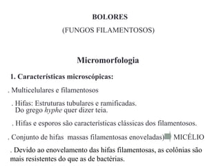 BOLORES
(FUNGOS FILAMENTOSOS)
Micromorfologia
1. Características microscópicas:
. Multicelulares e filamentosos
. Hifas e esporos são características clássicas dos filamentosos.
. Conjunto de hifas massas filamentosas enoveladas) MICÉLIO
. Hifas: Estruturas tubulares e ramificadas.
Do grego hyphe quer dizer teia.
. Devido ao enovelamento das hifas filamentosas, as colônias são
mais resistentes do que as de bactérias.
 