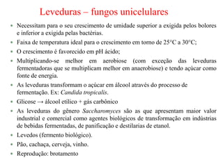  Necessitam para o seu crescimento de umidade superior a exigida pelos bolores
e inferior a exigida pelas bactérias.
 Faixa de temperatura ideal para o crescimento em torno de 25°C a 30°C;
 O crescimento é favorecido em pH ácido;
 Multiplicando-se melhor em aerobiose (com exceção das leveduras
fermentadoras que se multiplicam melhor em anaerobiose) e tendo açúcar como
fonte de energia.
 As leveduras transformam o açúcar em álcool através do processo de
fermentação. Ex: Candida tropicalis.
 Glicose → álcool etílico + gás carbônico
 As leveduras do gênero Saccharomyces são as que apresentam maior valor
industrial e comercial como agentes biológicos de transformação em indústrias
de bebidas fermentadas, de panificação e destilarias de etanol.
 Levedos (fermento biológico).
 Pão, cachaça, cerveja, vinho.
 Reprodução: brotamento
Leveduras – fungos unicelulares
 