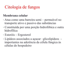 Citologia de fungos
Membrana celular
• Atua como uma barreira semi – permeável no
transporte ativo e passivo das substâncias
• Constituída por uma porção hidrofóbica e outra
hidrofílica
• Esteróis – Ergosterol
• Lipídeos associados a açucar –glicolipídeos -
importantes na aderência da célula fúngica às
células do hospedeiro
 