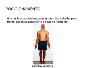 •Em pé, braços aduzidos, palmas das mãos voltadas para
frente, pés retos para frente e olhar no horizonte.
POSICIONAMENTO
 