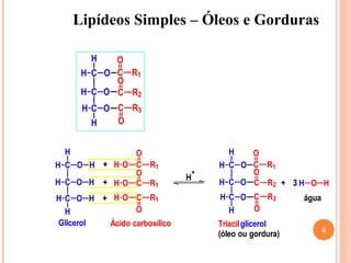 Lipídeos Simples – Óleos e Gorduras

           HO
      H C O C R1
            O
      H C O C R2
      H C O C R3
        H   O


  H           O                              H   O
H C O H + H O C R1                         H C O C R1
              O                        +         O
                                   H
H C O H + H O C R1                         H C O C R2 + 3 H O H
H C O H + H O C R1                         H C O C R3          água
  H           O                              H   O
Glicerol       Ácido carboxílico           Triacilglicerol
                                                                      4
                                           (óleo ou gordura)
 
