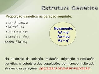 Estrutura Genética
Proporção gamética na geração seguinte:
         2
 f  A= p 1/2 2pq
             2
f  A= p  pq
         2
                               Novamente:
 f  A= p  p1− p             AA = p2
         2       2
 f  A= p  p− p = p            Aa = pq
Assim, f a=q                   Aa = q2




Na ausência de seleção, mutação, migração e oscilação
genética, a estrutura das populações permanece inalterada
através das gerações: EQUILÍBRIO DE HARDY-WEINBERG.
 