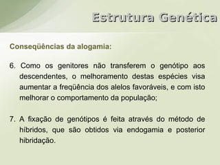 Estrutura Genética

Conseqüências da alogamia:

6. Como os genitores não transferem o genótipo aos
   descendentes, o melhoramento destas espécies visa
   aumentar a freqüência dos alelos favoráveis, e com isto
   melhorar o comportamento da população;

7. A fixação de genótipos é feita através do método de
   híbridos, que são obtidos via endogamia e posterior
   hibridação.
 