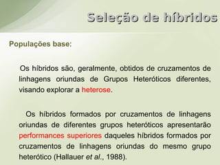 Seleção de híbridos

Populações base:


   Os híbridos são, geralmente, obtidos de cruzamentos de
  linhagens oriundas de Grupos Heteróticos diferentes,
  visando explorar a heterose.


    Os híbridos formados por cruzamentos de linhagens
  oriundas de diferentes grupos heteróticos apresentarão
  performances superiores daqueles híbridos formados por
  cruzamentos de linhagens oriundas do mesmo grupo
  heterótico (Hallauer et al., 1988).
 