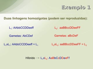 Exemplo 1

Duas linhagens homozigotas (podem ser reproduzidas):

   L1: AAbbCCDDeeff                 L2: aaBBccDDeeFF

   Gametas: AbCDef                  Gametas: aBcDeF

L1xL1: AAbbCCDDeeff = L1          L2xL2: aaBBccDDeeFF = L2



               Híbrido     L1xL2: AaBbCcDDeeFf
 