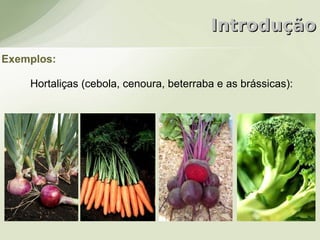 Introdução
Exemplos:

    Hortaliças (cebola, cenoura, beterraba e as brássicas):
 