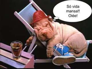 Eu creio na
vida mansa!!
Só vida
mansa!!
Oiée!
 