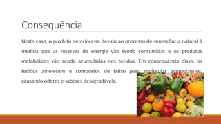 Consequência
Neste caso, o produto deteriora-se devido ao processo de senescência natural à
medida que as reservas de energia vão sendo consumidas e os produtos
metabólicos vão sendo acumulados nos tecidos. Em consequência disso, os
tecidos amolecem e compostos de baixo peso molecular acumulam-se,
causando odores e sabores desagradáveis.
 