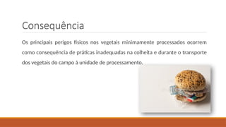 Consequência
Os principais perigos físicos nos vegetais minimamente processados ocorrem
como consequência de práticas inadequadas na colheita e durante o transporte
dos vegetais do campo à unidade de processamento.
 