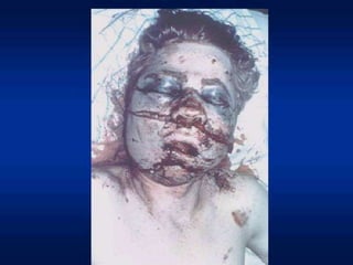 Prof. Fernando Ramos Gonçalves
 