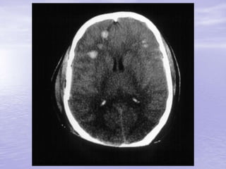 Prof. Fernando Ramos Gonçalves
 