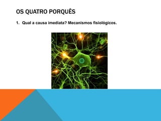 OS QUATRO PORQUÊS
1. Qual a causa imediata? Mecanismos fisiológicos.
 