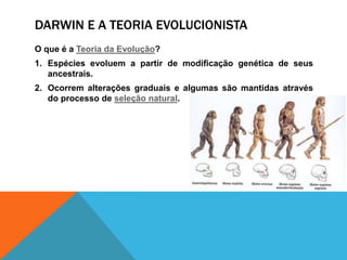 DARWIN E A TEORIA EVOLUCIONISTA
O que é a Teoria da Evolução?
1. Espécies evoluem a partir de modificação genética de seus
ancestrais.
2. Ocorrem alterações graduais e algumas são mantidas através
do processo de seleção natural.
 