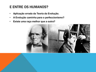 E ENTRE OS HUMANOS?
• Aplicação errada da Teoria da Evolução.
• A Evolução caminha para o perfeccionismo?
• Existe uma raça melhor que a outra?
 