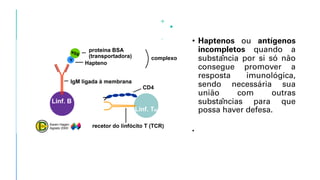 • Haptenos ou antígenos
incompletos quando a
substância por si só não
consegue promover a
resposta imunológica,
sendo necessária sua
união com outras
substâncias para que
possa haver defesa.
•
 