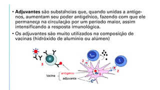• Adjuvantes são substâncias que, quando unidas a antíge-
nos, aumentam seu poder antigênico, fazendo com que ele
permaneça na circulação por um período maior, assim
intensificando a resposta imunológica.
• Os adjuvantes são muito utilizados na composição de
vacinas (hidróxido de alumínio ou alúmen)
 