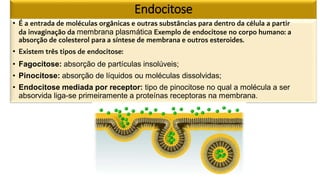 Endocitose
• É a entrada de moléculas orgânicas e outras substâncias para dentro da célula a partir
da invaginação da membrana plasmática Exemplo de endocitose no corpo humano: a
absorção de colesterol para a síntese de membrana e outros esteroides.
• Existem três tipos de endocitose:
• Fagocitose: absorção de partículas insolúveis;
• Pinocitose: absorção de líquidos ou moléculas dissolvidas;
• Endocitose mediada por receptor: tipo de pinocitose no qual a molécula a ser
absorvida liga-se primeiramente a proteínas receptoras na membrana.
 