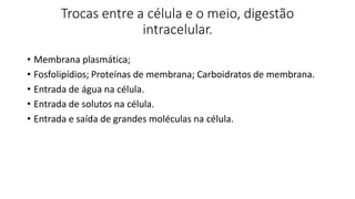 Trocas entre a célula e o meio, digestão
intracelular.
• Membrana plasmática;
• Fosfolipídios; Proteínas de membrana; Carboidratos de membrana.
• Entrada de água na célula.
• Entrada de solutos na célula.
• Entrada e saída de grandes moléculas na célula.
 