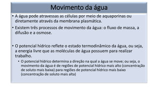 • A água pode atravessas as células por meio de aquaporinas ou
diretamente através da membrana plasmática.
• Existem três processos de movimento da água: o fluxo de massa, a
difusão e a osmose.
• O potencial hídrico reflete o estado termodinâmico da água, ou seja,
a energia livre que as moléculas de água possuem para realizar
trabalho.
• O potencial hídrico determina a direção na qual a água se move; ou seja, o
movimento da água é de regiões de potencial hídrico mais alto (concentração
de soluto mais baixa) para regiões de potencial hídrico mais baixo
(concentração de soluto mais alta)
Movimento da água
 