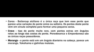 • Coroa - Buttercup siciliano é a única raça que tem esse pente que
parece uma variação do pente único ou solteiro. Os pontos deste pente
vêm em círculo completo para formar uma pequena coroa.
• Cravo - tipo de pente muito raro, com pontos extras em ângulos
retos ao longo das costas do pente. Penedesenca e Empordanesa são
as únicas raças possuidoras.
• Morango - o pente está em um ângulo dianteiro na cabeça, parece um
morango. Yokohama e galinhas malaias.
 