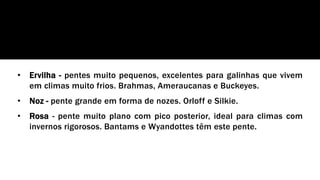 • Ervilha - pentes muito pequenos, excelentes para galinhas que vivem
em climas muito frios. Brahmas, Ameraucanas e Buckeyes.
• Noz - pente grande em forma de nozes. Orloff e Silkie.
• Rosa - pente muito plano com pico posterior, ideal para climas com
invernos rigorosos. Bantams e Wyandottes têm este pente.
 